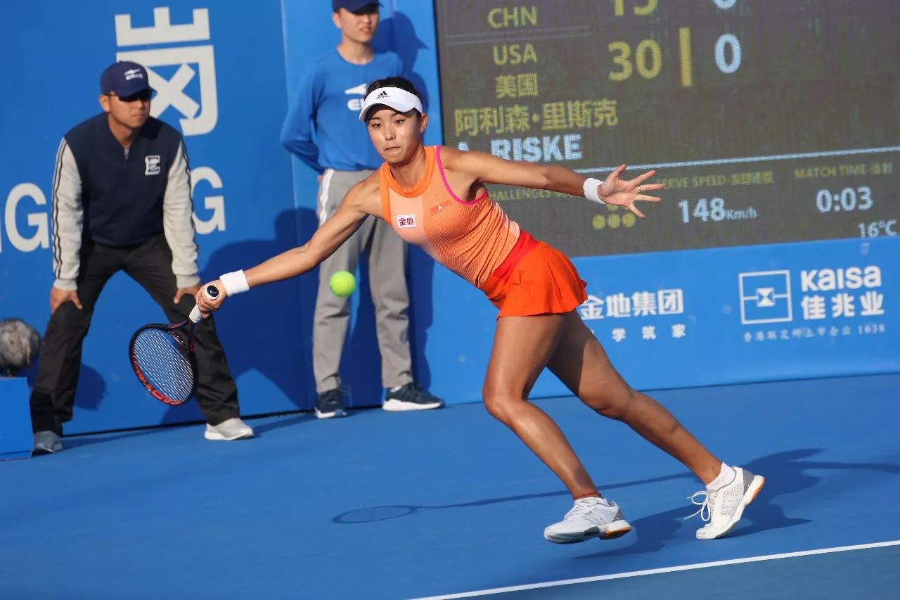 中国羽毛球 中国羽毛球